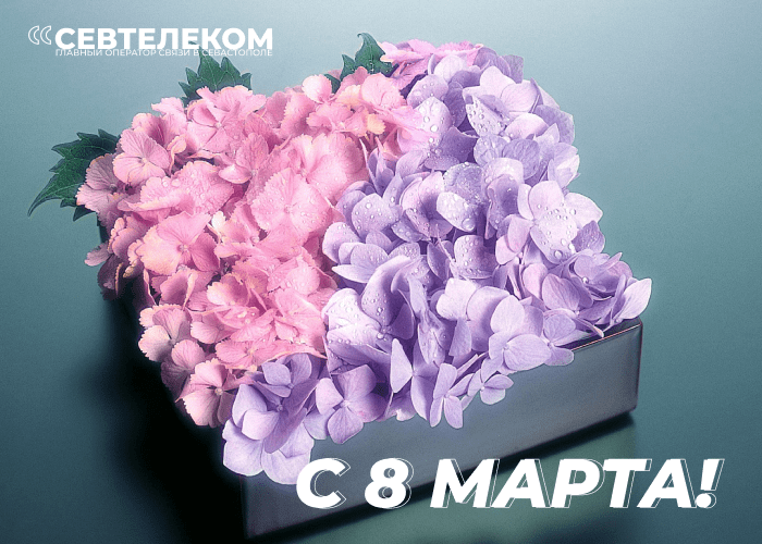 � ���������� 8 �����! ��������-��������� net92.ru